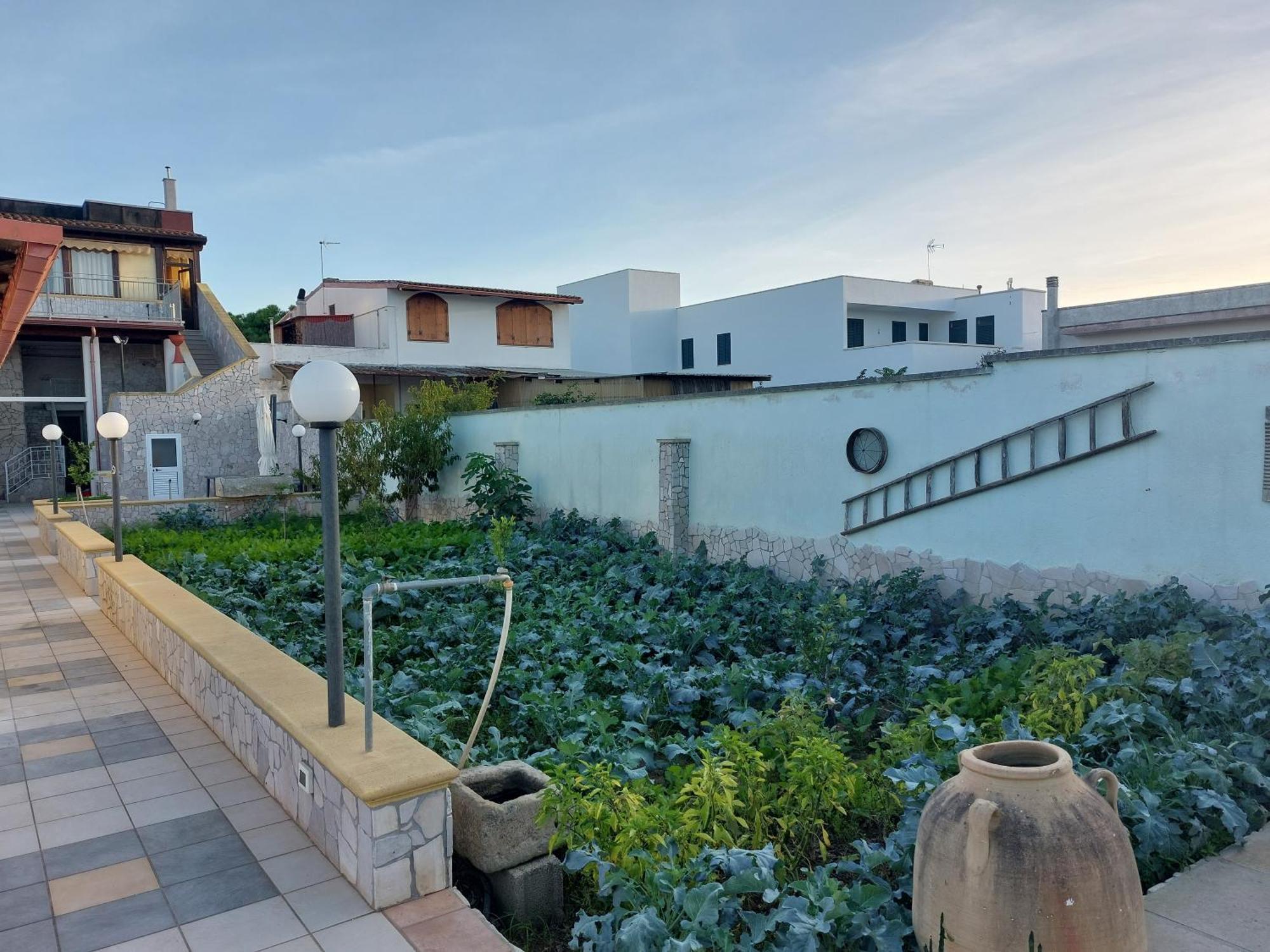 Oltremare Hotel Vignacastrisi Ngoại thất bức ảnh